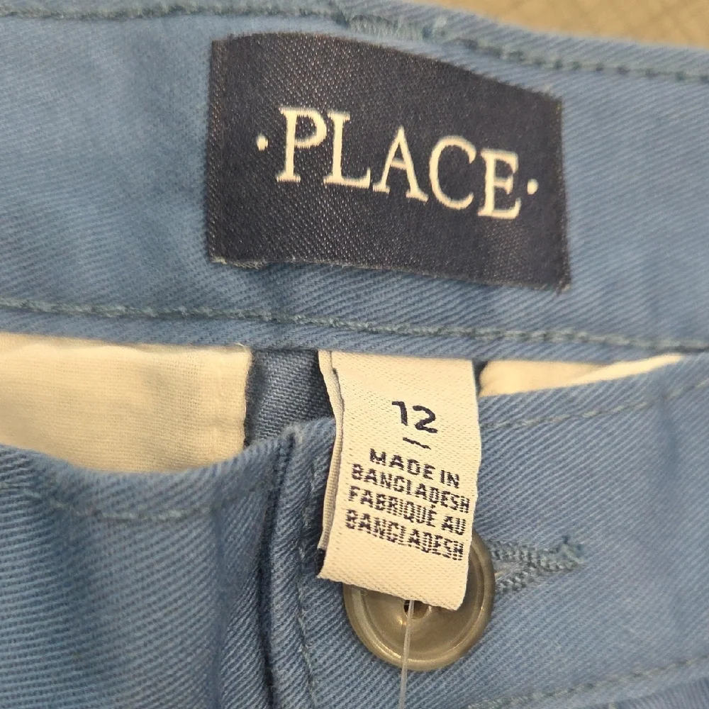 The Children's Place Kids Casual Blue Pants